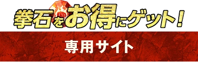 専用サイト